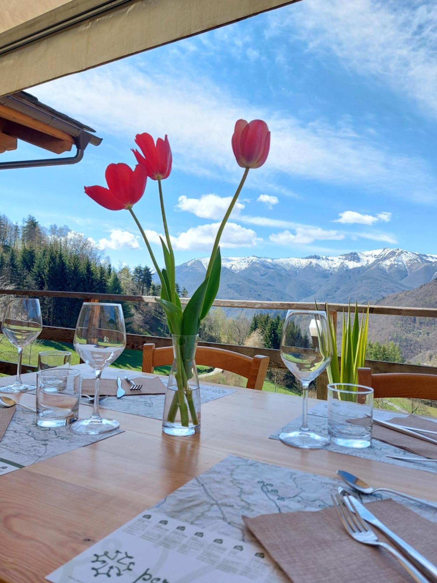 Locanda Il Campo Della Quercia San Damiano Macra Bagian luar foto