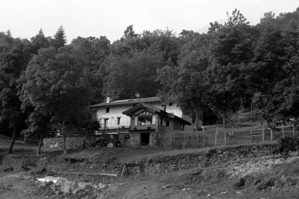Locanda Il Campo Della Quercia San Damiano Macra Bagian luar foto